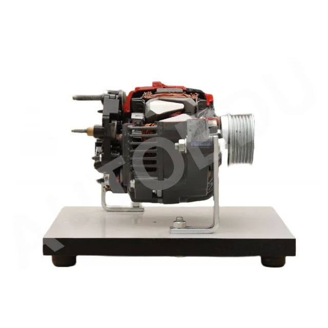 Truck alternator cutaway model AESALT01