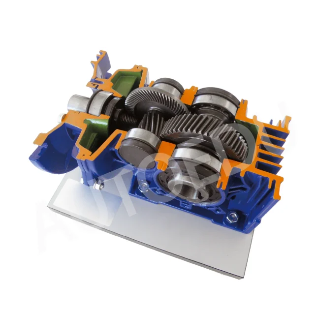 Bevel helical reducer Cutaway AE413110M