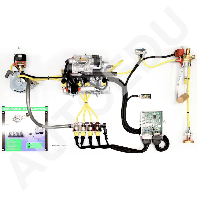 LPG timed sequential injection for electronic injection engines Educational Trainer AE410525S