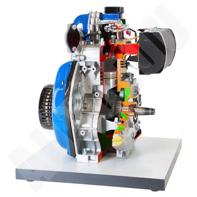 Single-cylinder 4 stroke diesel engine air cooled cutaway Educational Trainer AE36120M