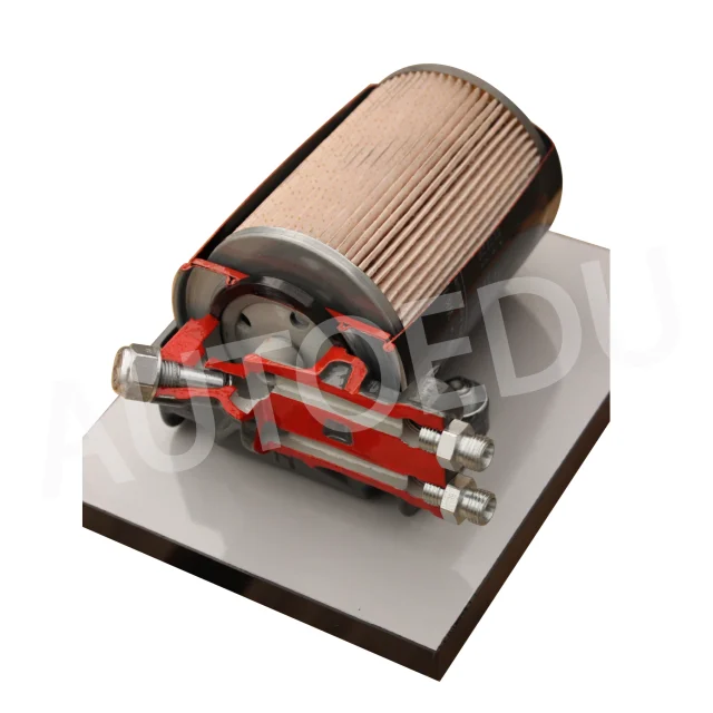 Truck Fuel Filter Cutaway Educational Trainer AESKF01